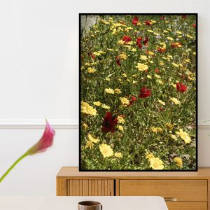 Quadro - Michel Fraitag - Flores Gregas 4