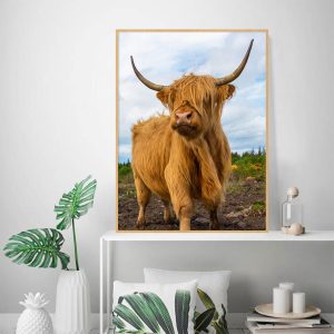 Quadro - Michel Fraitag - Highland Cattle