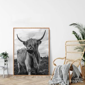 Quadro - Michel Fraitag - Highland Cattle Peb