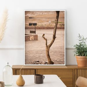 Quadro - Michel Fraitag - Pássaro No Deserto