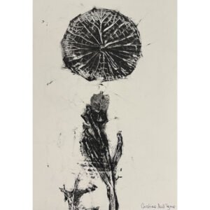 Obra de Arte – Botânico 2 – Cristina Dall’igna