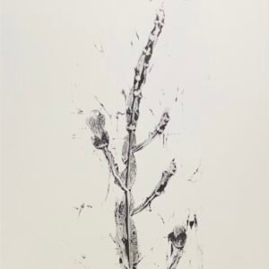 Obra de Arte – Botânico 3 – Cristina Dall’igna