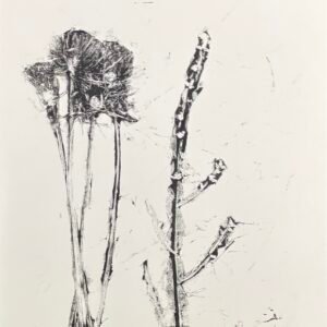 Obra de Arte – Botânico 4 – Cristina Dall’igna