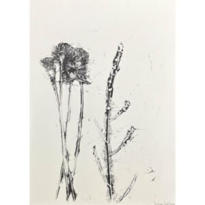 Obra de Arte – Botânico 4 – Cristina Dall’igna