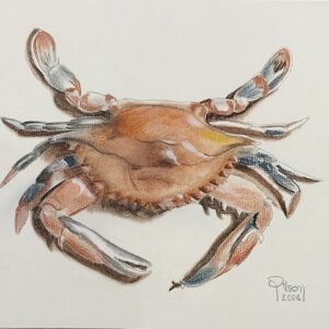 Obra de Arte – Carangueijo Lápis  – Gilson Esteves