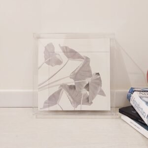 Quadro - Danilo Sbindio - Planta Cinzenta