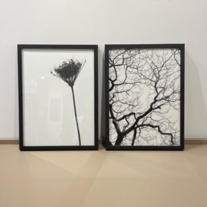 Dupla e Quadros - Lonely Flower e Galho de Inverno 2 